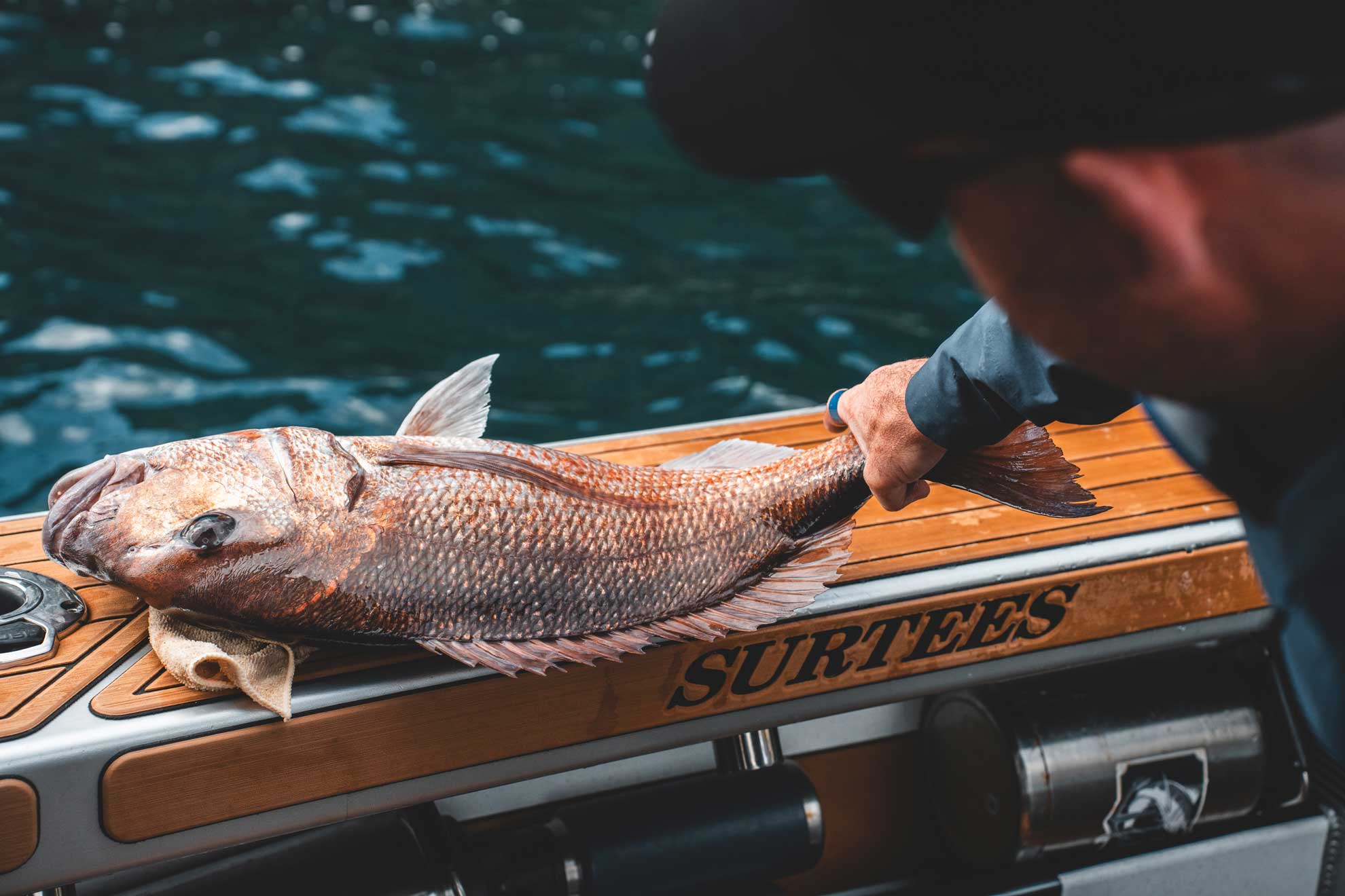 Snapper on boat dek